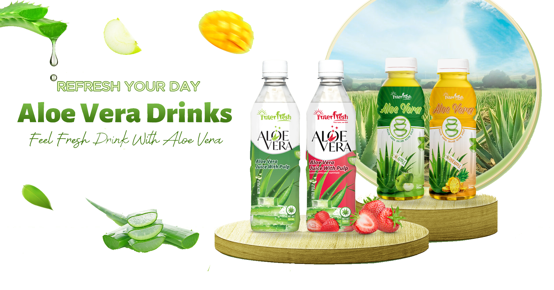 Aloe vera field and products background